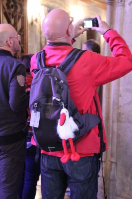 Cliquez pour voir l'image en taille relle