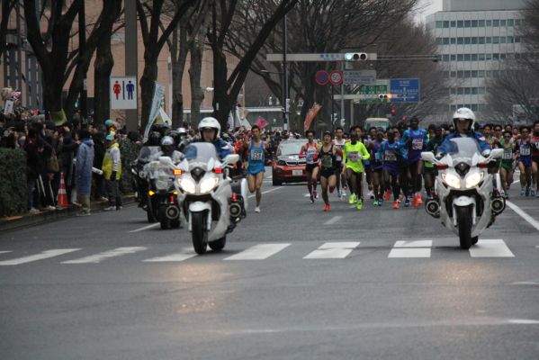 Cliquez pour voir l'image en taille relle