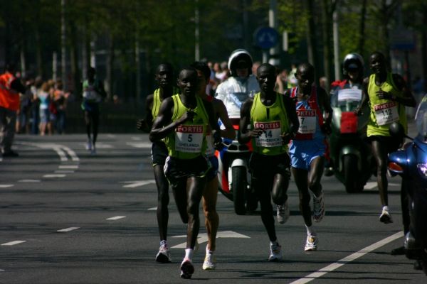 Cliquez pour voir l'image en taille relle