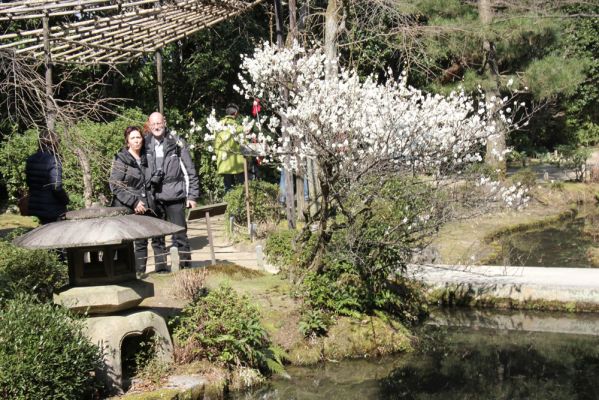 Cliquez pour voir l'image en taille relle