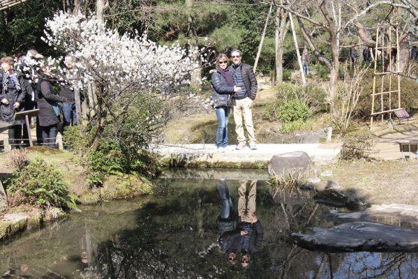 Cliquez pour voir l'image en taille relle