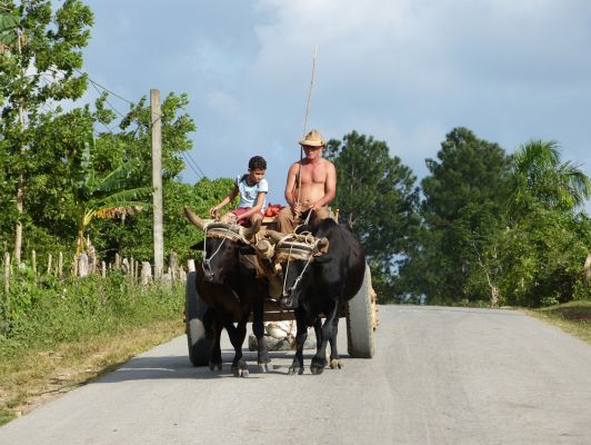 Cliquez pour voir l'image en taille relle