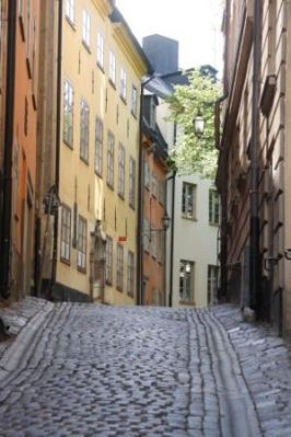 Cliquez pour voir l'image en taille relle