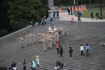IMG_7176~0.jpg